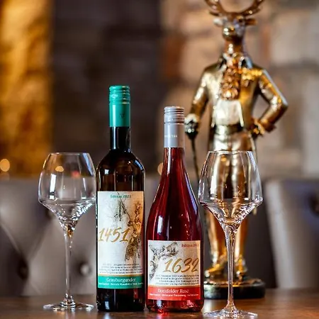 Ringhotel Jaegerhof 3* Weißenfels