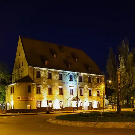 Ringhotel Jaegerhof ホテル 3*