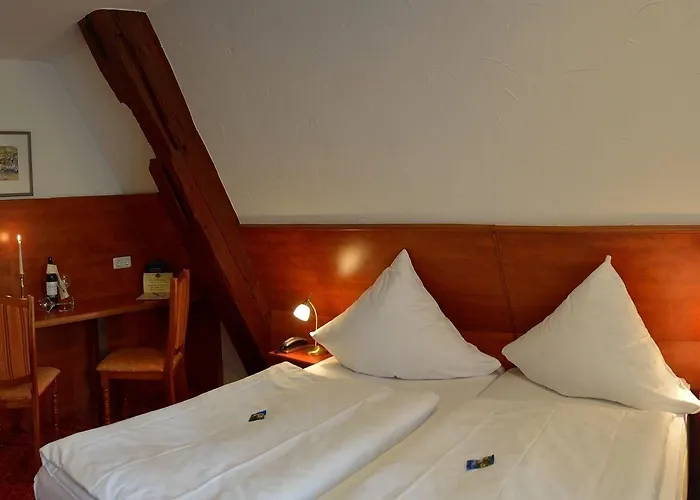Ringhotel Jaegerhof 3*